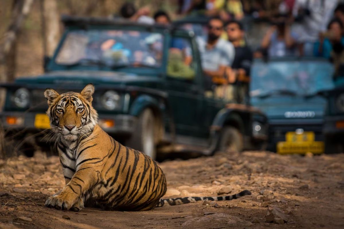 Ranthambore, Rajasthan — Tiger Country